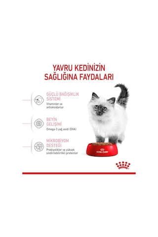 Kitten Kuru Kedi Maması, Yavru Kedi, 4 Kg