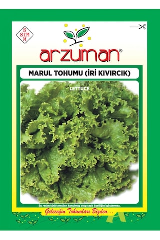 Arzuman İri Kıvırcık Marul Tohumu 10 G Arzuman İri Kıvırcık Marul Tohumu 10 G