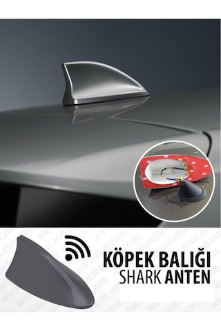 Balık Sırtı Köpek Balığı Balina Gerçek Anten Siyah
