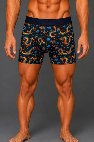 Brem Handsome Ejderha Desenli Erkek Boxer Çok Renkli
