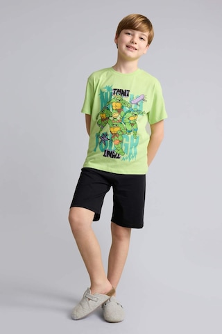 Defacto Nınja Turtles-retro Kısa Kollu Tişört Şort Alt 2li Pijama Takımı Erkek Çocuk H8008a826hsgn597 Yeşil-gn597