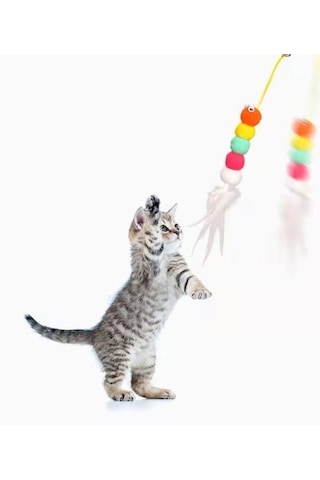 Go İthalat Elastik Kendinden Yapışkanlı Solucan Kedi Oltası