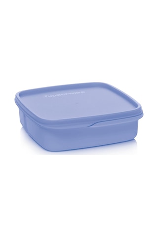 Tupperware Bölmeli Beslenme Kutusu 550 ML Böğürtlen