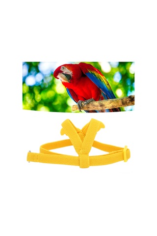 Moveevo Kuş Uçuş Tasma, Lateks İpek Esnek Kemer, Canavar Kuşları İçin Antrenman Ve Uçuş İçin Hafif Tekerlek, Sarı Renk