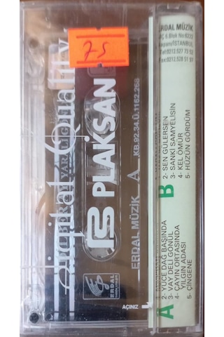 Plak Değildir Kaset Tir Dilber Ay Yaralı Gönlüm Açılmamış Jelat