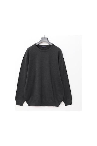 Dio Rise Erkek Uzun Kol İnce Polo Yaka Sweatshirt - B180856 - Antrasit Antrasit