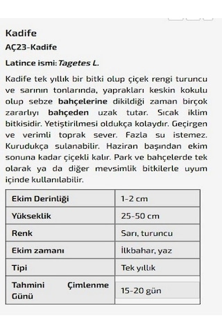 Kadife Çiçeği Tohumu