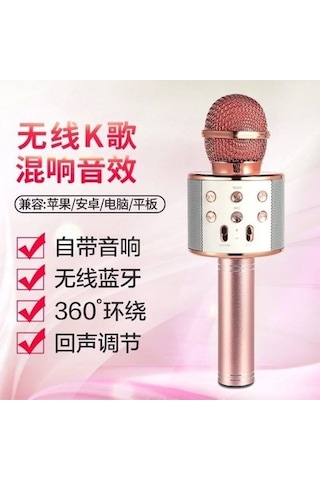 Artfulabode Karaoke Mikrofon, Kablosuz Bt, Şarj Edilebilir, 1200mah, 10m İletim, Gül Altını Renk
