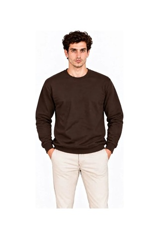 DefyModa Erkek Bisiklet Yaka İçi Şardonlu 2 İplik Düz Uzun Kollu Regular Fit Sweatshirt - Kahverengi