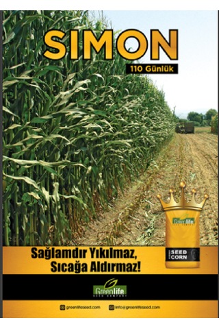 Mısır Tohumu Sımon 110 Günlük