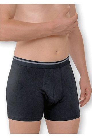Erkek Boxer % 100 Pamuklu Uzun Long Boxer 2'li Paket M01 Antrasit Erkek Boxer % 100 Pamuklu Uzun Long Boxer 2'li Paket M01 Antrasit