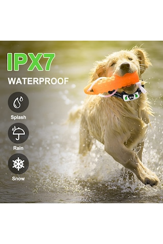 Geeroyoo Köpek Eğitim Ve Otomatik Havlama Durdurma Kolyesi, 4 Modlu, Su Geçirmez, Uzaktan Kumandalı