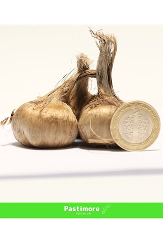 Premium Dikime Hazır Yerli Üretim Büyük Boy 1. Kalite Safranbolu Safran Bitkisi Soğanı