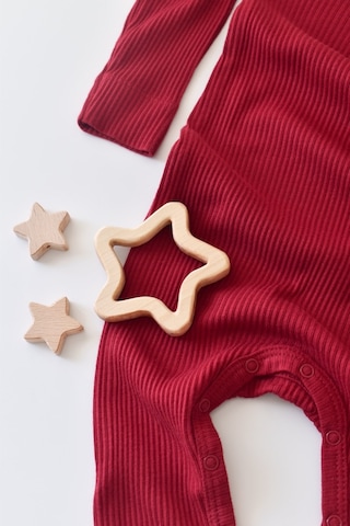 BabyCosy Unisex Bebek Uzun Kollu Tulum - Csym11410 - Rebebe 001