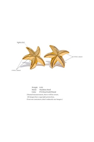 Novahub Altın 316l Paslanmaz Çelik Denizyıldızı Büyük Küpe Kadınlar İçin Anti Alerjik Takı Plaj Hediye Yeni Altın