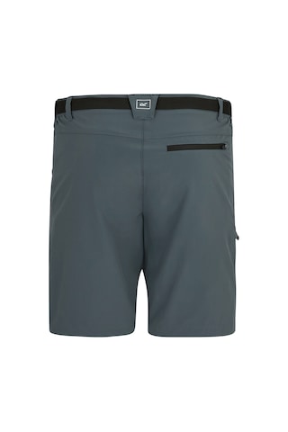 Regatta X-ert Stretch Erkek Şort-füme