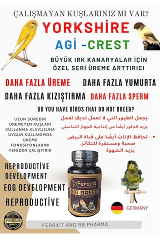 Feroxit Büyük Irk Kanaryalar İçin Özel Olarak Geliştirilen Daha Fazla Üreme