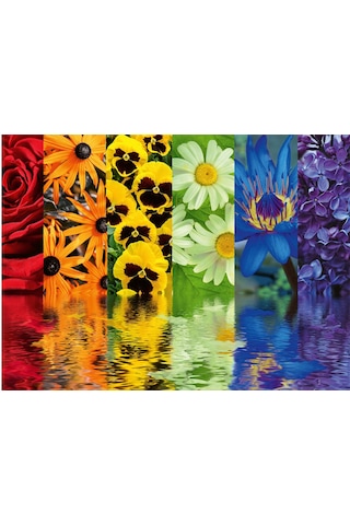 Ravensburger 500 Parça Puzzle Çiçek Yansıma Rpo164462