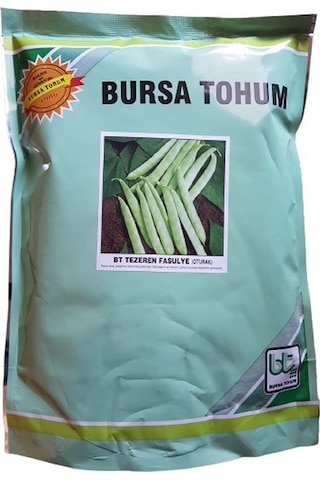 Yerli Cino Fasulyesi Tezeren 40 Günlük Oturak Fasulye Tohumu 1KG N111991