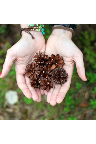 Kangvka 9 Adet Ahşap Kestane Noel Ağaç Dekorasyonu - Ev Ofis Noel Atmosferi Oluşturucu Asma Süsleri Beyaz Çok Renkli