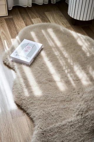Apex Reiki Vizon Peluş Post Şekilli Halı Vizon