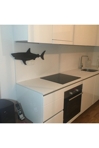 Ahşap Köpekbalığı Tablo