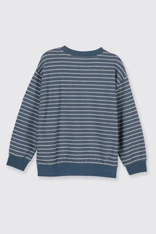 Panço Çizgi Desenli Petrol Erkek Çocuk Sweatshirt 2521bk08009 Petrol