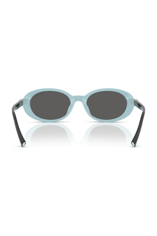 Tf 4242d 8055s4 54 Tiffany & Co. Güneş Gözlüğü Siyah