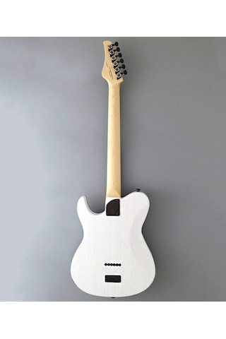 Fujigen Iliad Elektro Gitar Jıl3ashde664r/opw