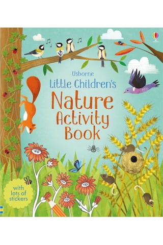 The Usborne Little Childrens Activity Book Nature