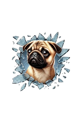 Büro Ev Ofis Arabası İçin 10x10cm Tekli Araç Dışı French Bulldog Oto Cam Stickerı