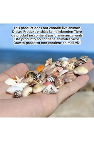 Willowhaven 200g Renkli Mini Kabuk Kum Karışımı Dıy El İşleri Akvaryum Dekorasyon