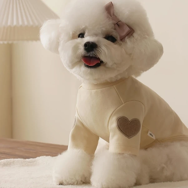 Elmpaly Bej S Küçük Köpek Kazak Yünlü Kalp Desen Tüm Mevsimler Makinede Yıkanır