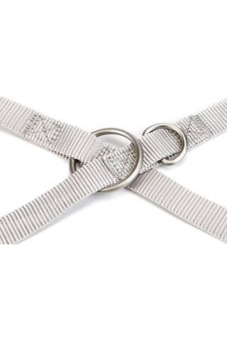 Beeztees Köpek Gezdirme Kayışı, Açık Gri, 120cm, 20mm Çok Renkli