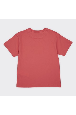 Panço Erkek Çocuk Baskılı T-shirt Nar 2411bk05038-4493 001