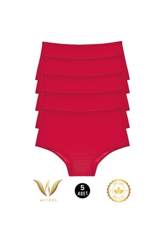 Wcreas Yüksek Bel Pamuklu Kadın Külot, 5'li Paket Pamuklu Yumuşak Kumaş Kadın Külot Bordo