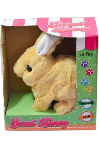 40098 Tavşan Peluş Pilli-Aya Toys