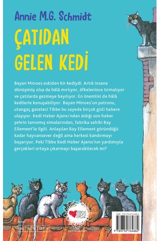 Çatıdan Gelen Kedi
