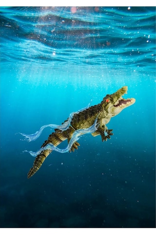 Seher 2.4 Ghz Uzaktan Kumandalı Yüzen Full Fonksiyon Şarjlı Timsah Renkli