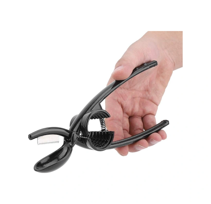 River World Ceviz Kıracağı Ve Kestane Çizici 2 İn 1 Renkli