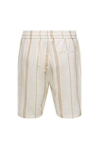 Only & Sons Onstınus Stepan Shorts 006 Erkek White Şort - 22033632 White
