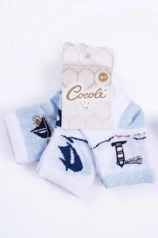 Cocole Socks Erkek Çocuk Soket Çorabı 3 Lü Set Pamuklu Marin & Deniz Desenli Çok Renkli