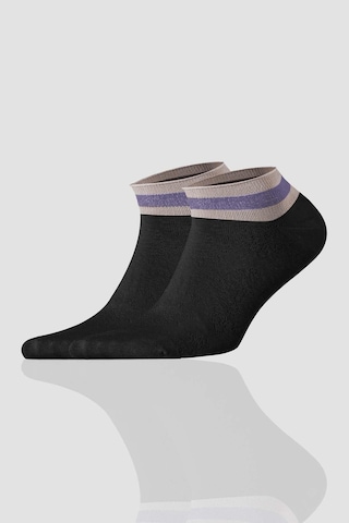 Aytuğ Kadın Modal Patik Çorap 5 Çift Özel Kutulu 4 Renk 33241