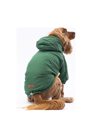 Pawstar Yeşil Pluvia Kedi Köpek Mont Kedi Köpek Kıyafeti