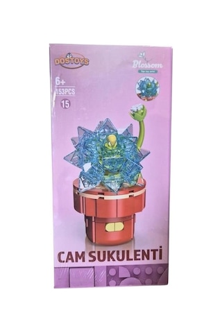 Blossom Cam Sukulenti Çiçek 153 Parça