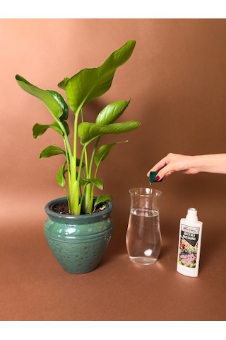 Daha Yeşil Yapraklar İçin Bitki Besini 500 Ml Sıvı Bitki Gübresi