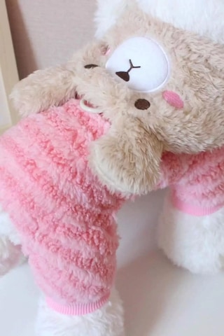 Caş Dekorasyon Pembe Renk Ayıcıklı Peluş Xxl Köpek Tulum