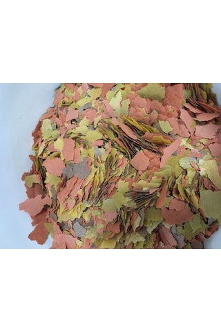 Prodac Tropical Fish Flakes 100gr Açık