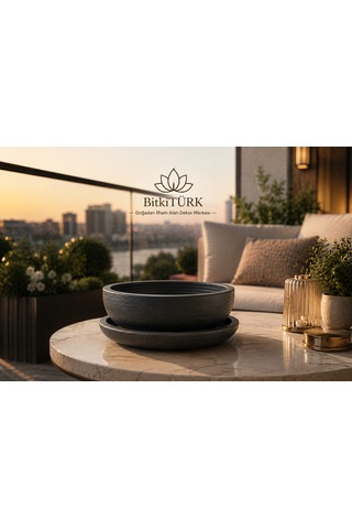 Dekoratif Beton Saksı Ve Altlık Seti 20 Cm El Yapımı Bonsai Saksısı Sukulent Saksısı İç Mekan Çiçek Saksısı -