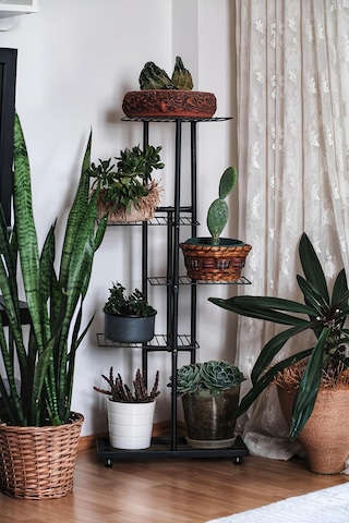 Metal 5 Katlı Raflı Dikey Saksı Standı Çiçeklik